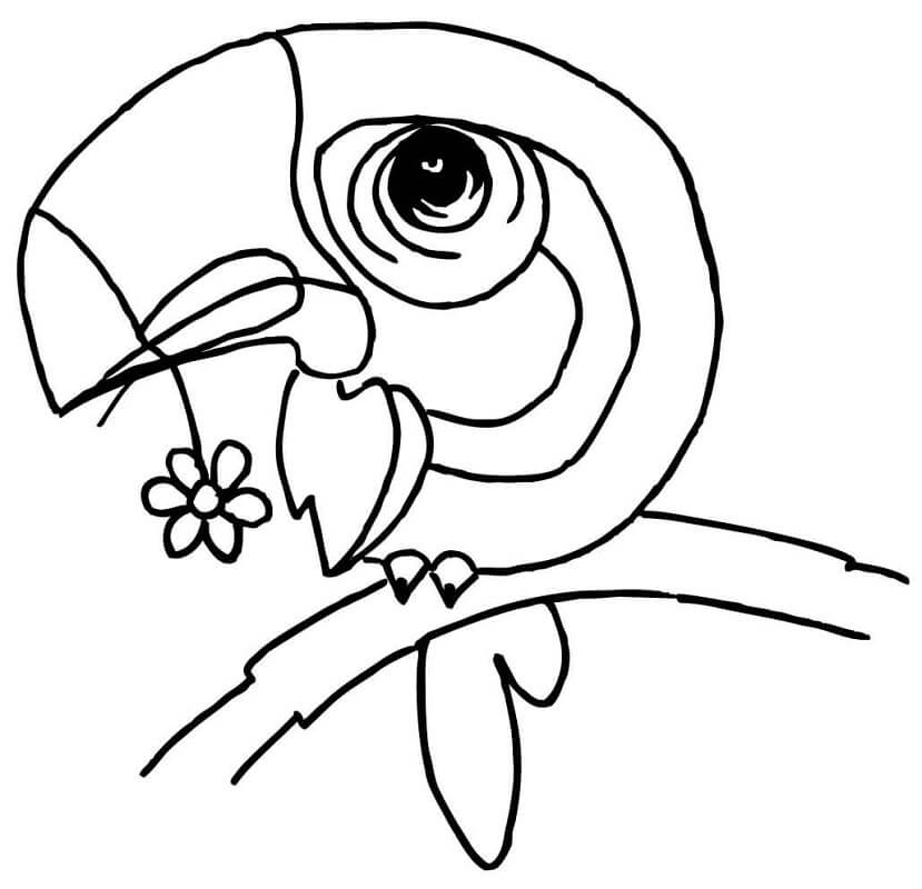 Cartoon Toucan Coloring Page