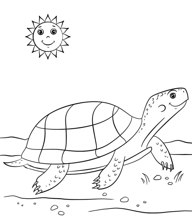 Cartoon Turtle and Sun
