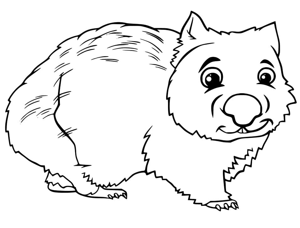 Cartoon Wombat