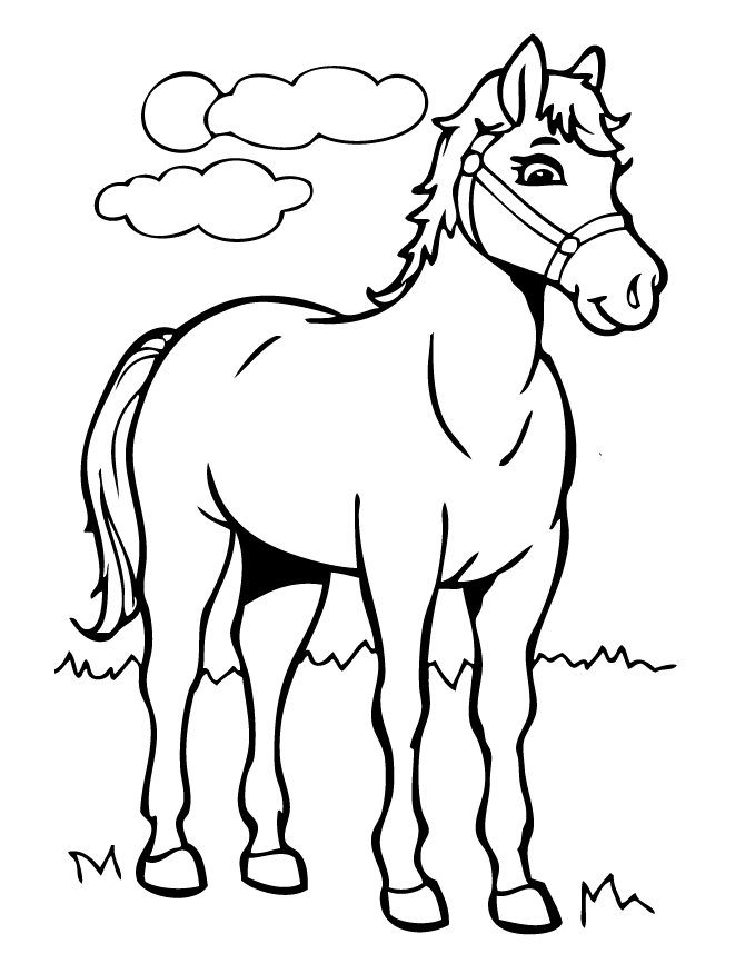 Cartoon_horse_coloring_page Coloring Page
