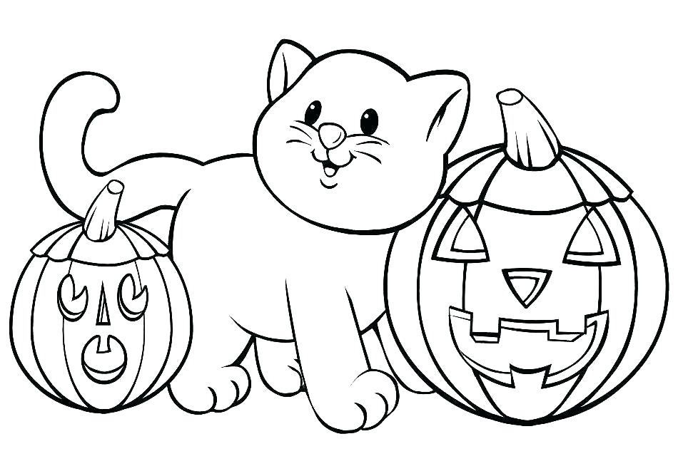 Cat And Halloween Pumpkinss