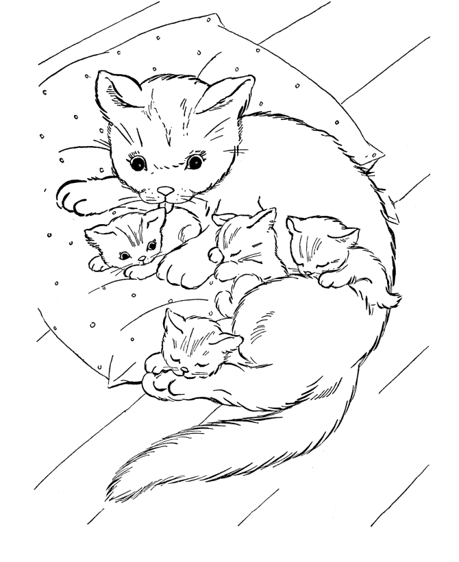 Cat And Her Kids Animal Sfead Coloring Page