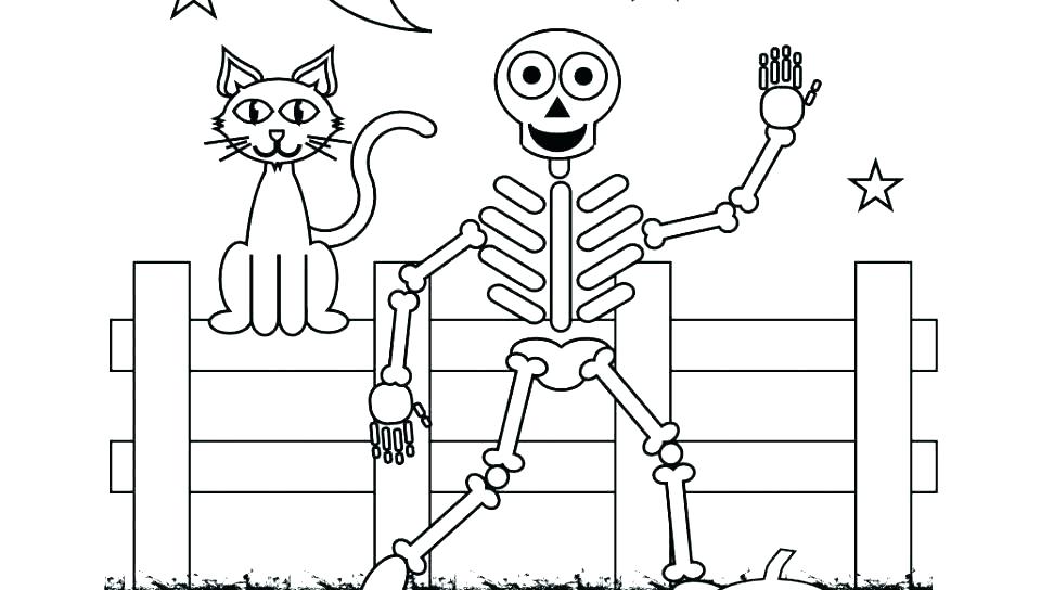 Cat And Skeleton Say Hi