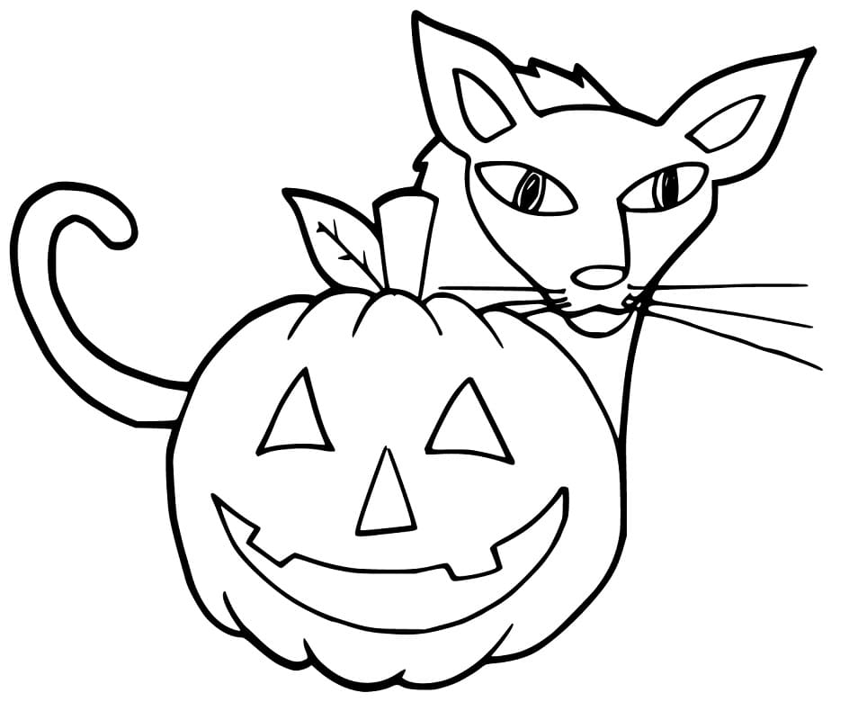 Cat Behind Pumpkin Coloring Page