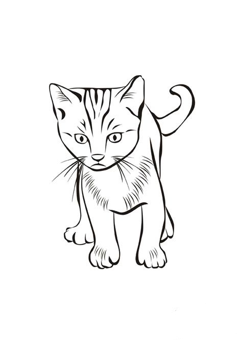 Cat Free Animal Coloring Page