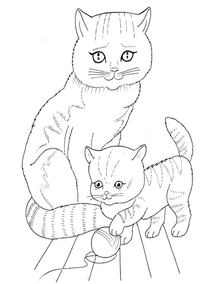 Cat Mother and Kitten Coloring Page