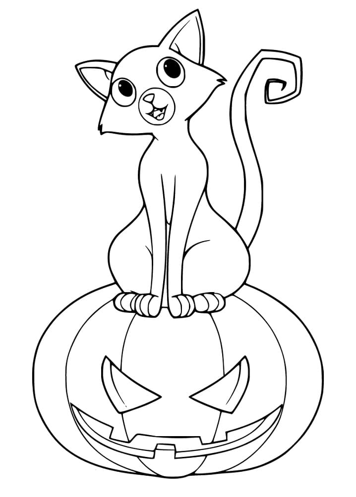 Cat with Hallween Pumpkin Coloring Page