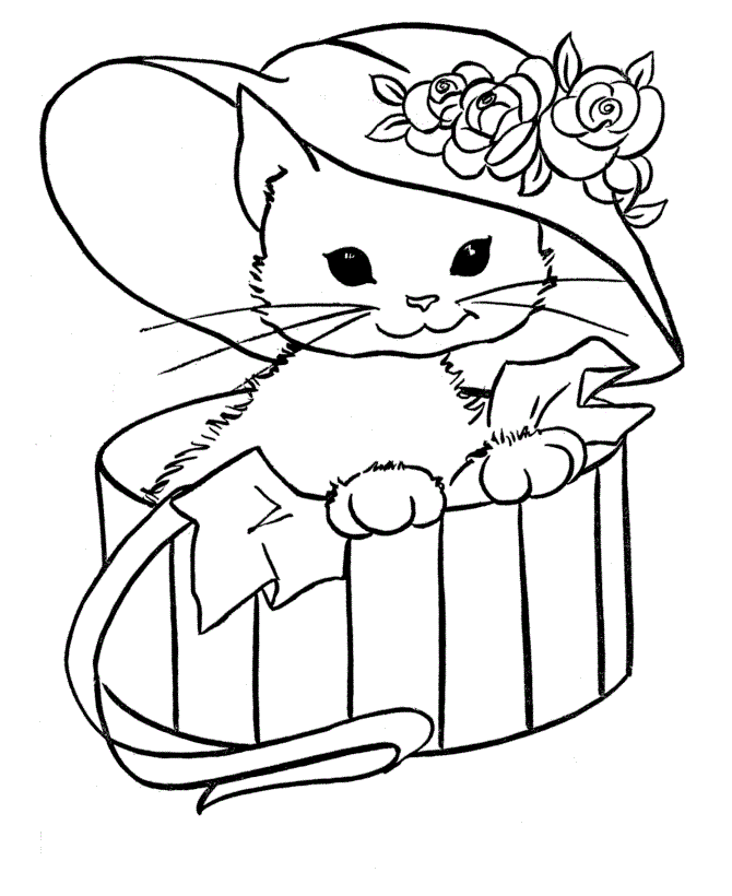 Cat With Hat In A Box Animal Sb74e Coloring Page