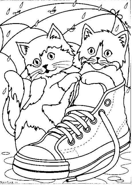 Cats In A Sneaker Animal S1d7b Coloring Page