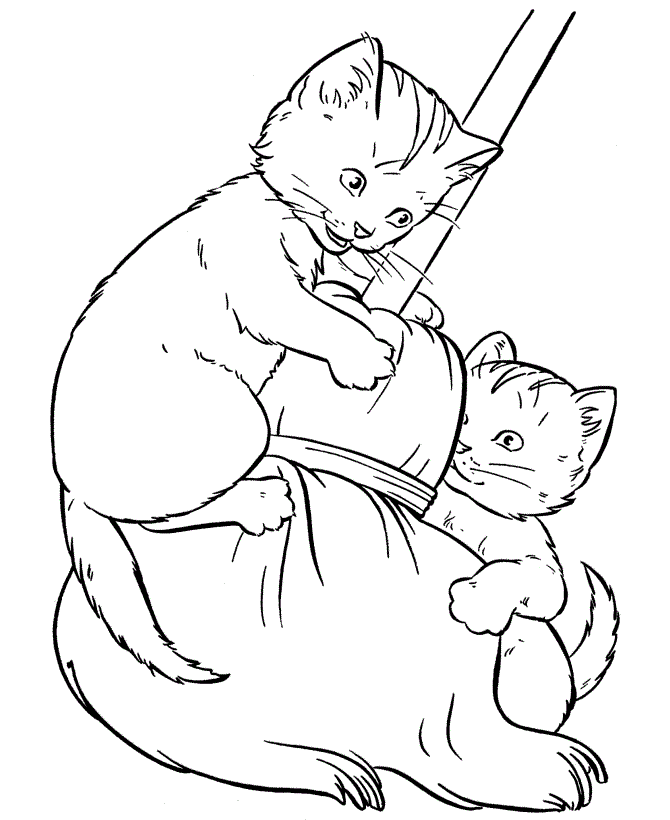 Cats With Broom Animal Coloring Page