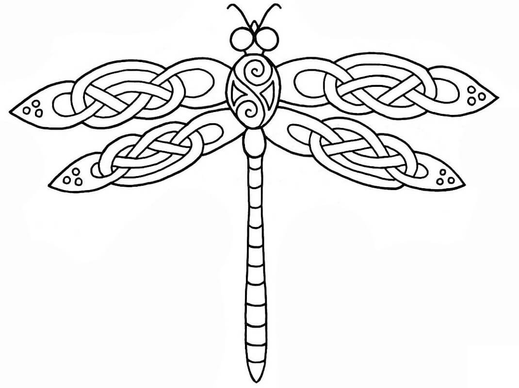 Celtic Dragonfly Design Coloring Page