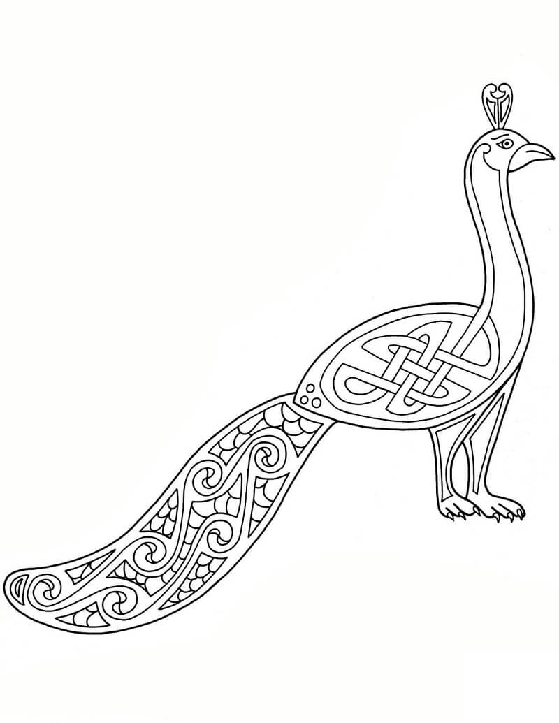 Celtic Peacock Design Coloring Page