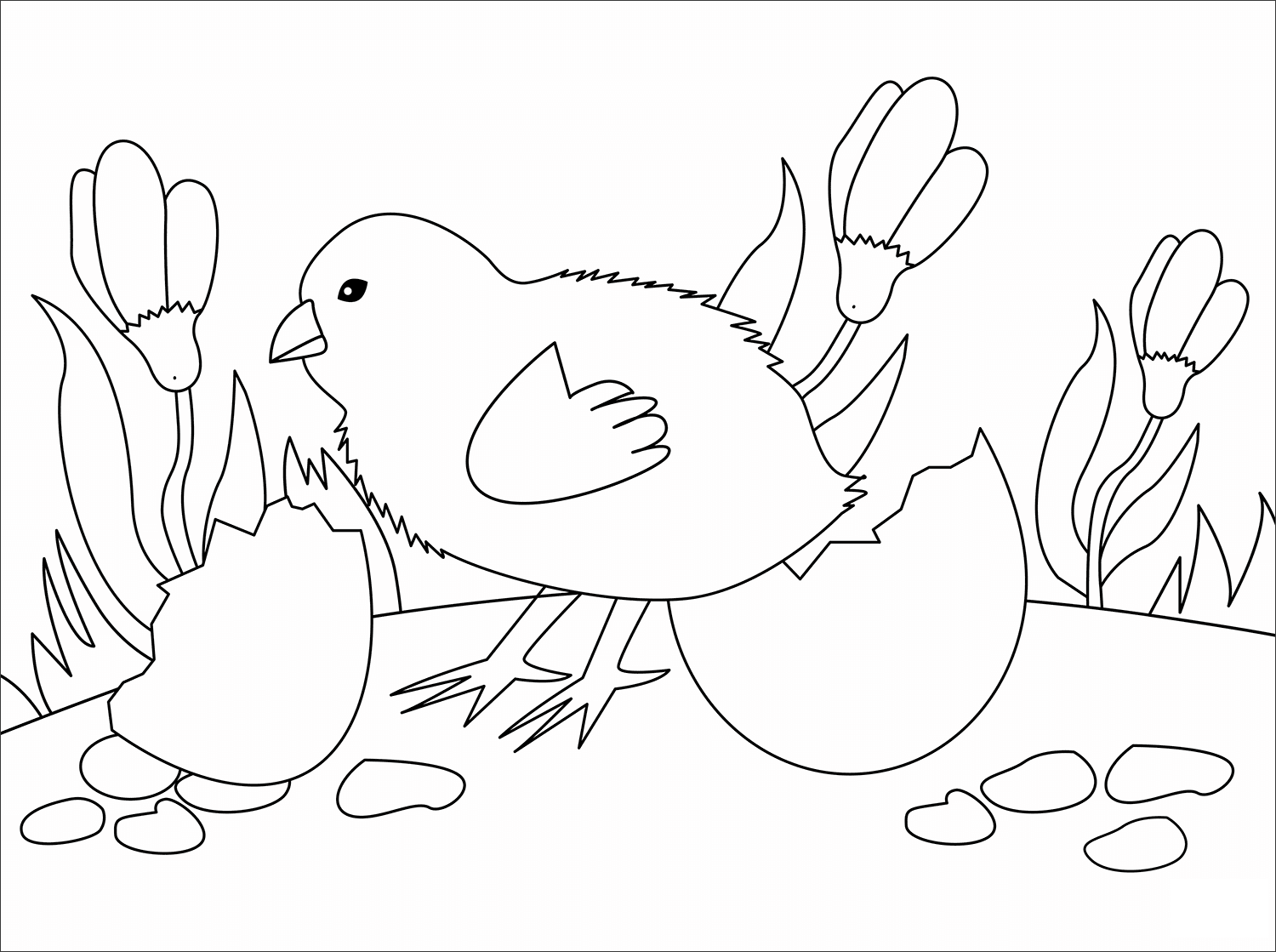 Chick Animal Simple Coloring Page