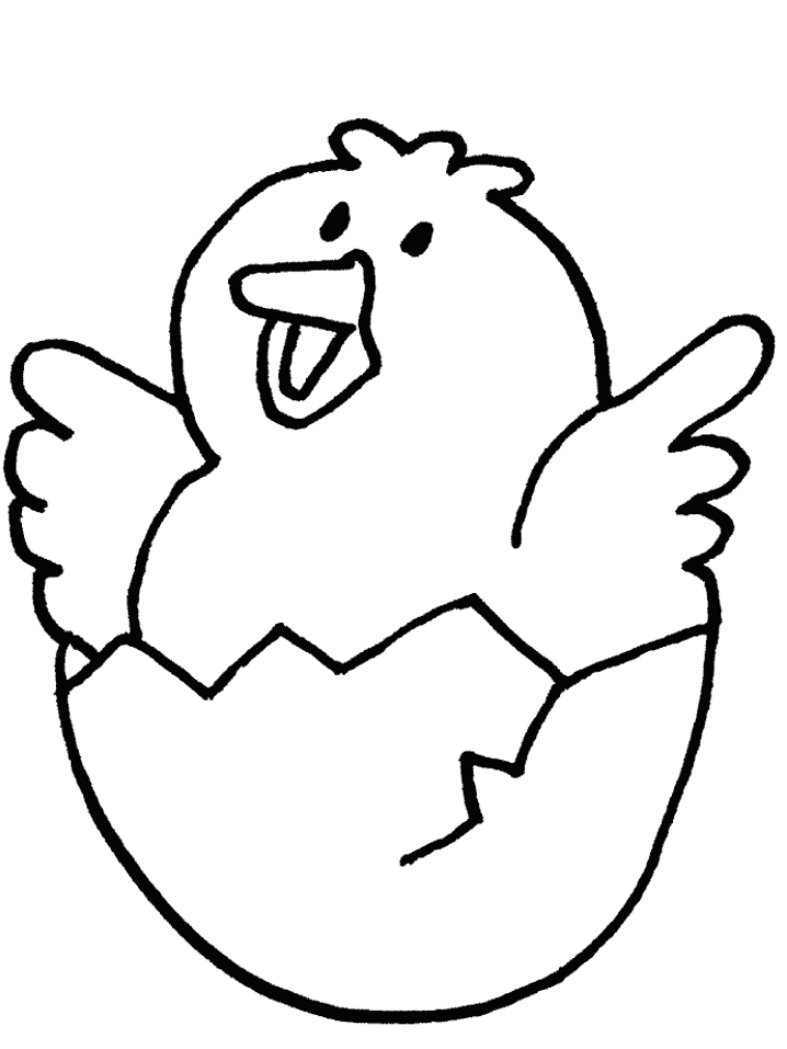 Chick Baby Free S Of Animals9b3f Coloring Page