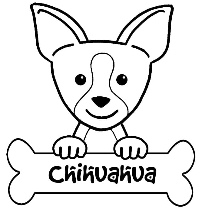 Chihuahua and Bone Coloring Page