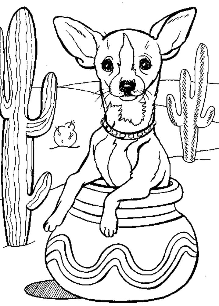 Chihuahua in Desert Coloring Page