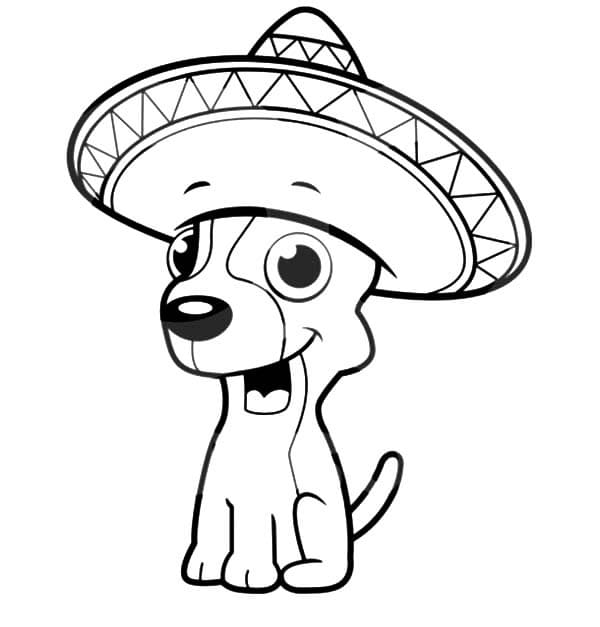 Chihuahua in Sombrero Coloring Page