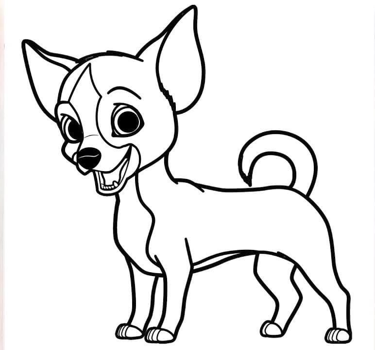 Chihuahua is Smiling Coloring Page