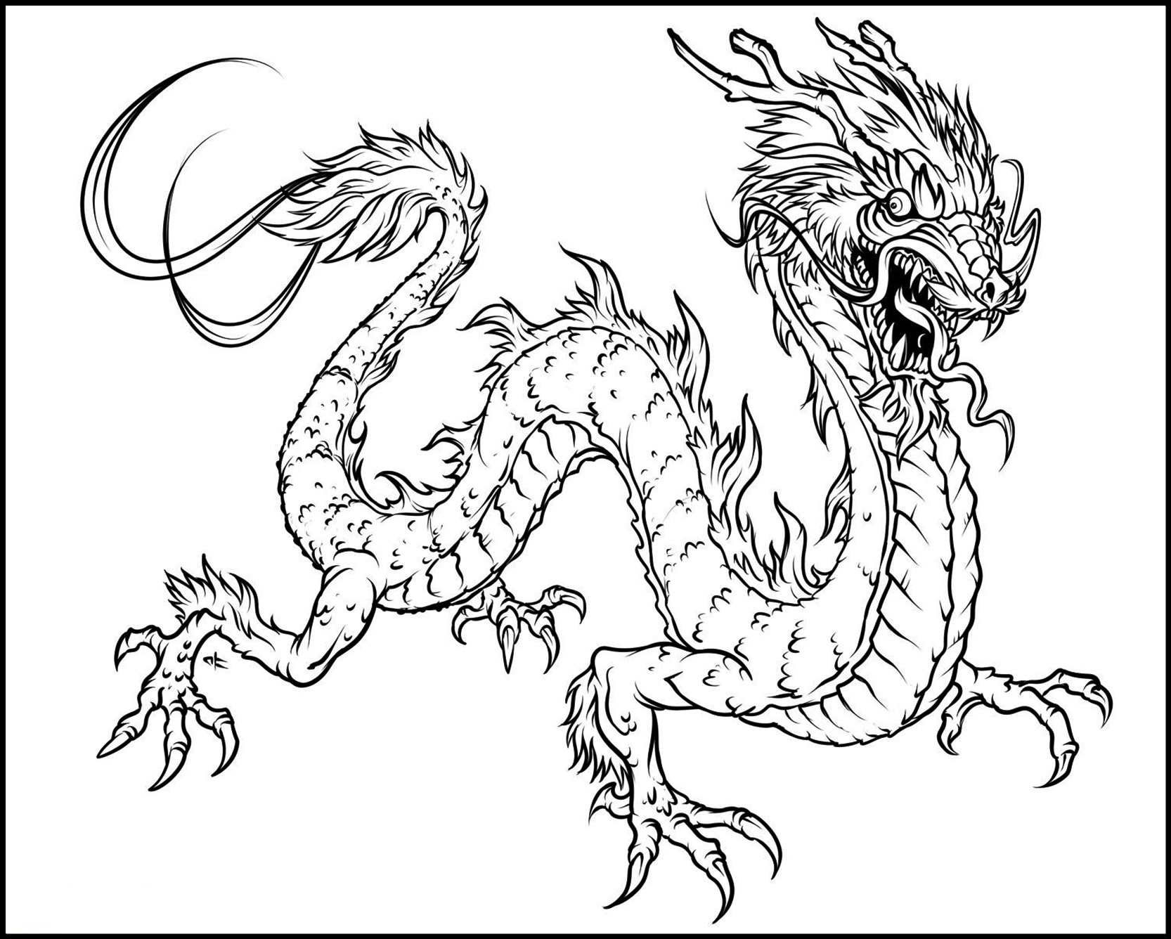 China’s Dragon