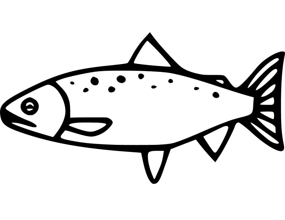 Chinook Salmon 1