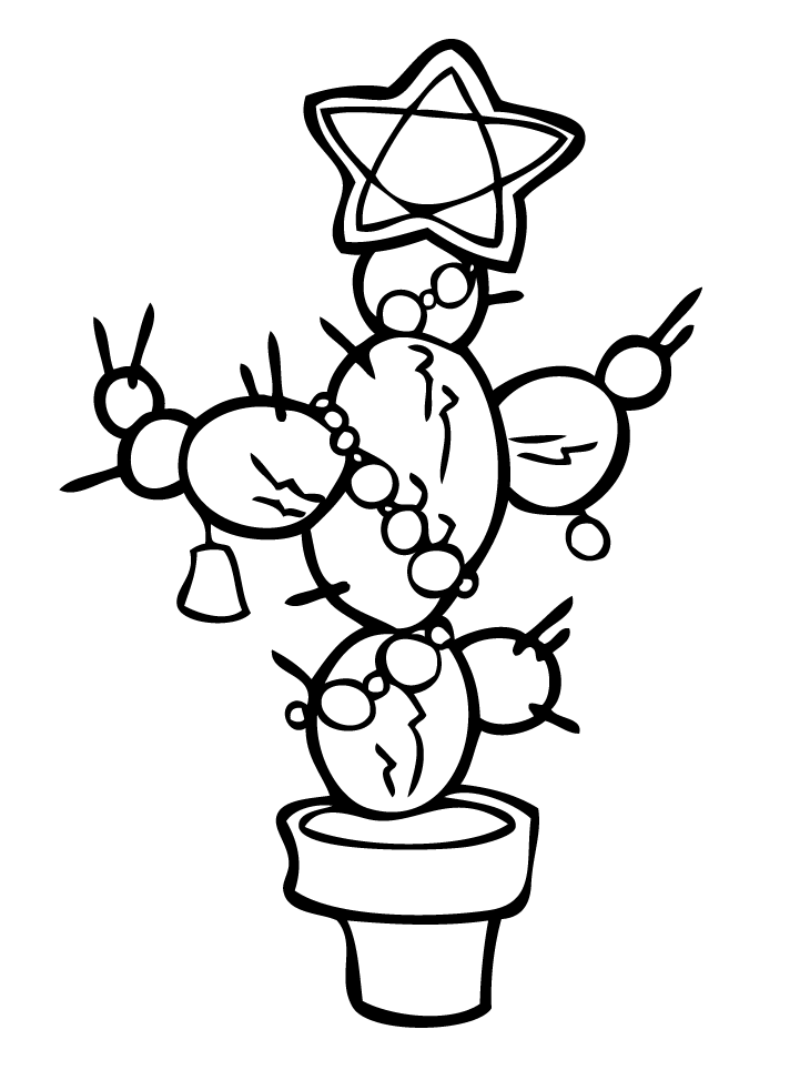 Christmas Cactus Flower Pot