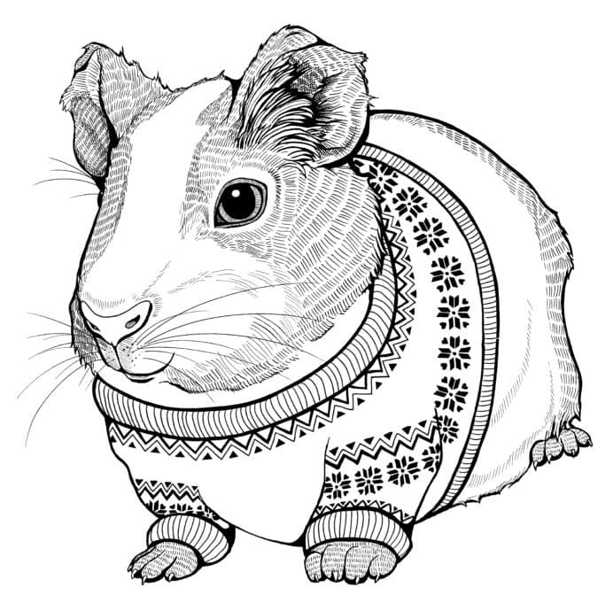 Christmas Guinea Pig Coloring Page