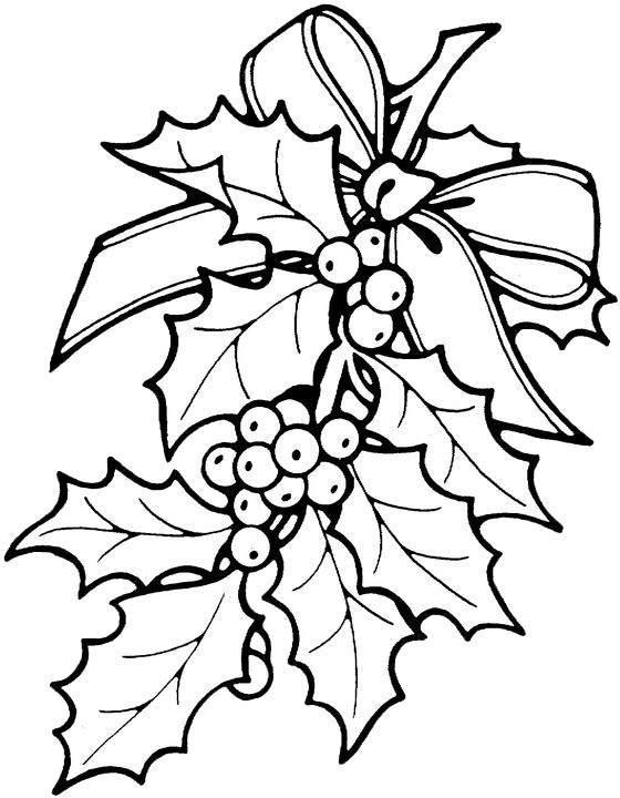 Christmas Hollys Coloring Page