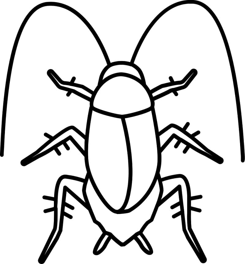 Cockroach 3 Coloring Page