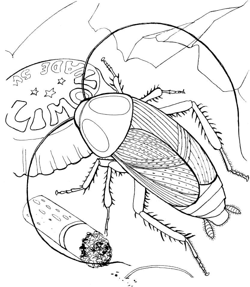 Cockroach and Trash Coloring Page