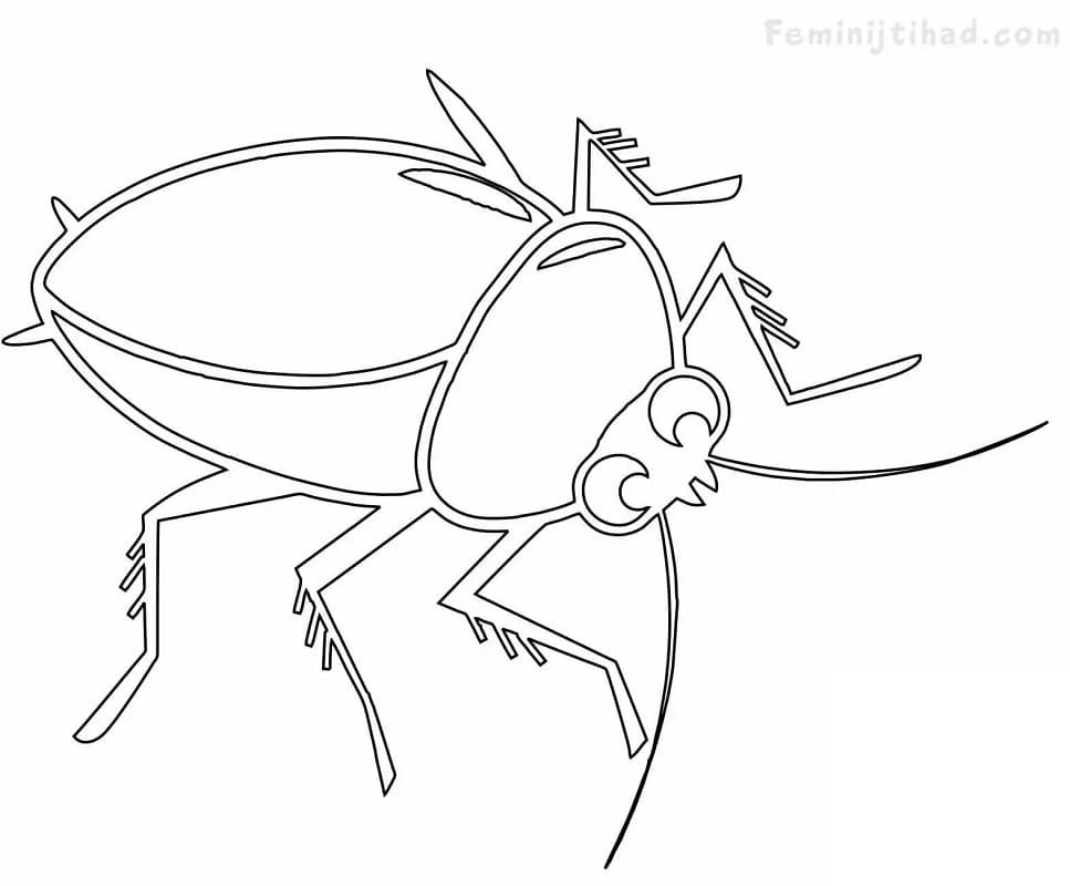 Cockroach Outline Coloring Page