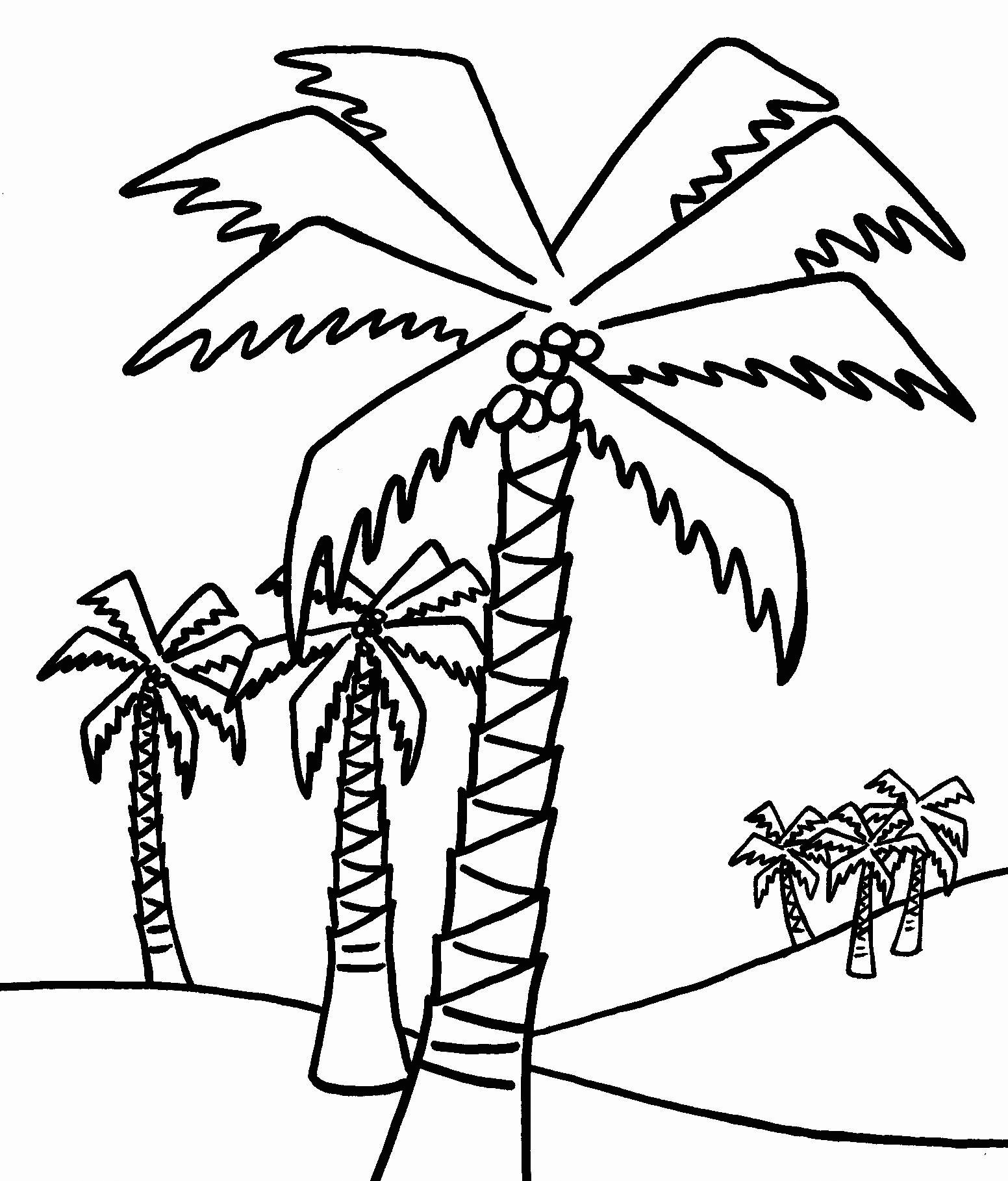 Coconut Treess Coloring Page