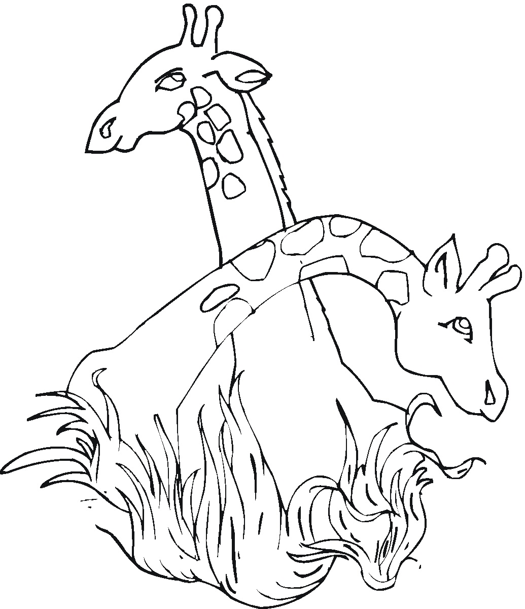 Coloring Page Giraffe Coloring Page