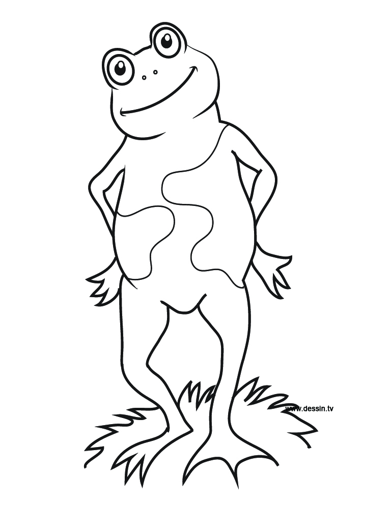 Coloring Page of a Frog