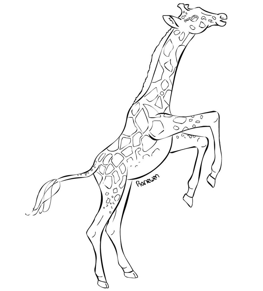 Coloring Page of a Giraffe