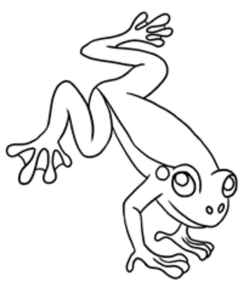 Coloring Page of Frog