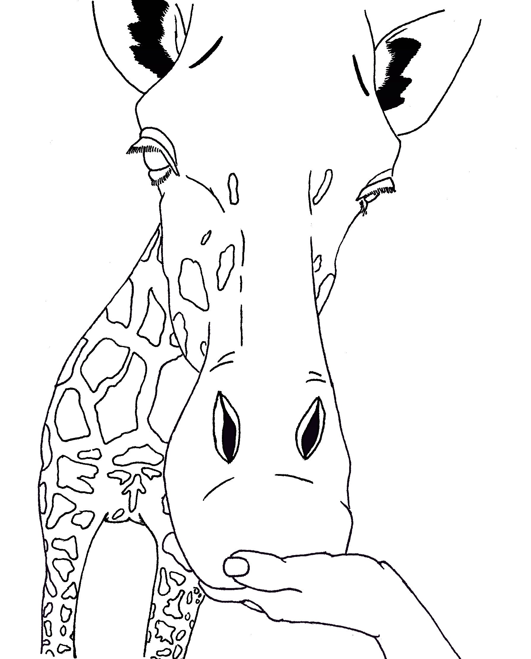 Coloring Page of Giraffe Face