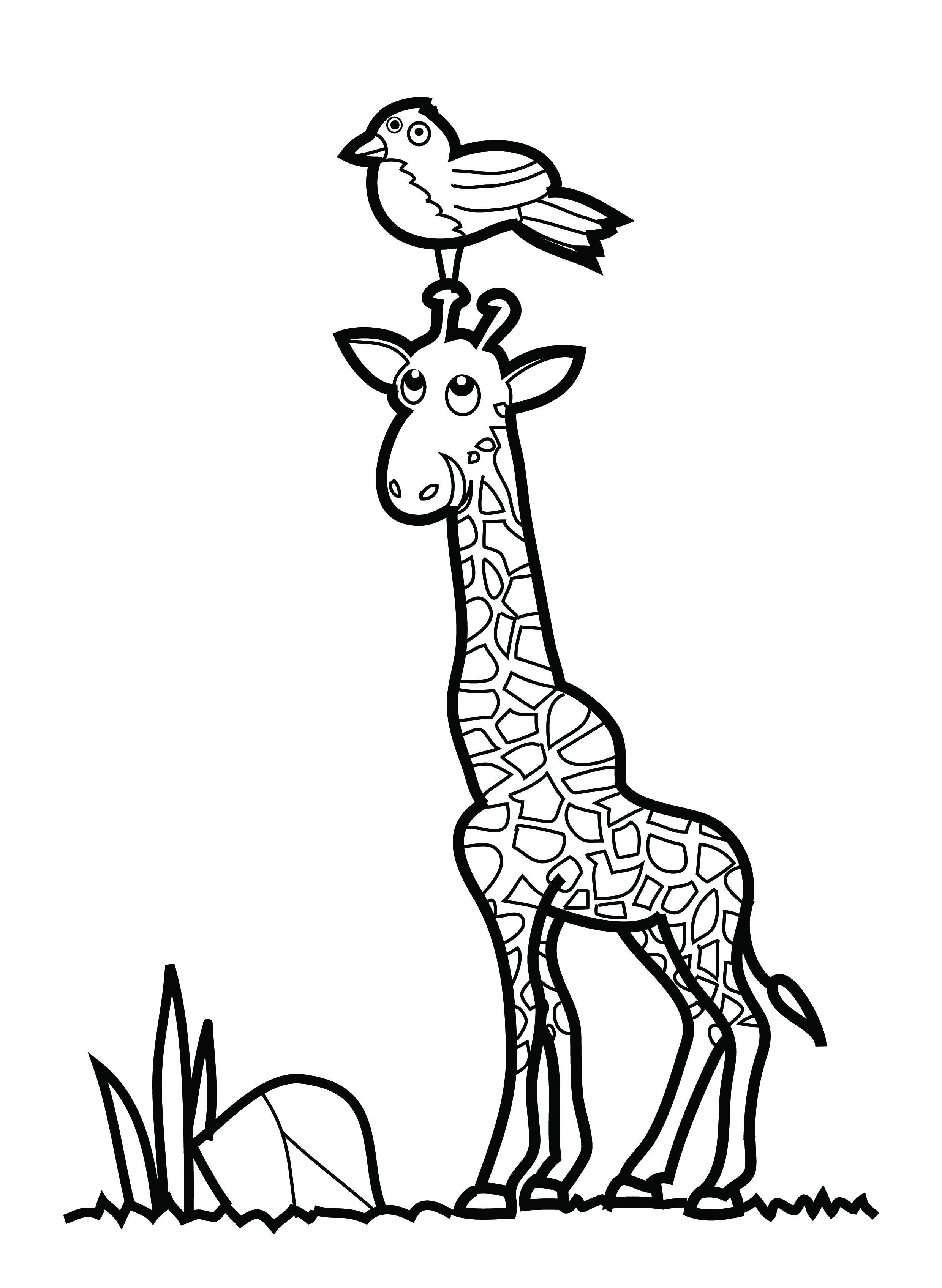 Coloring Page of Giraffe Coloring Page