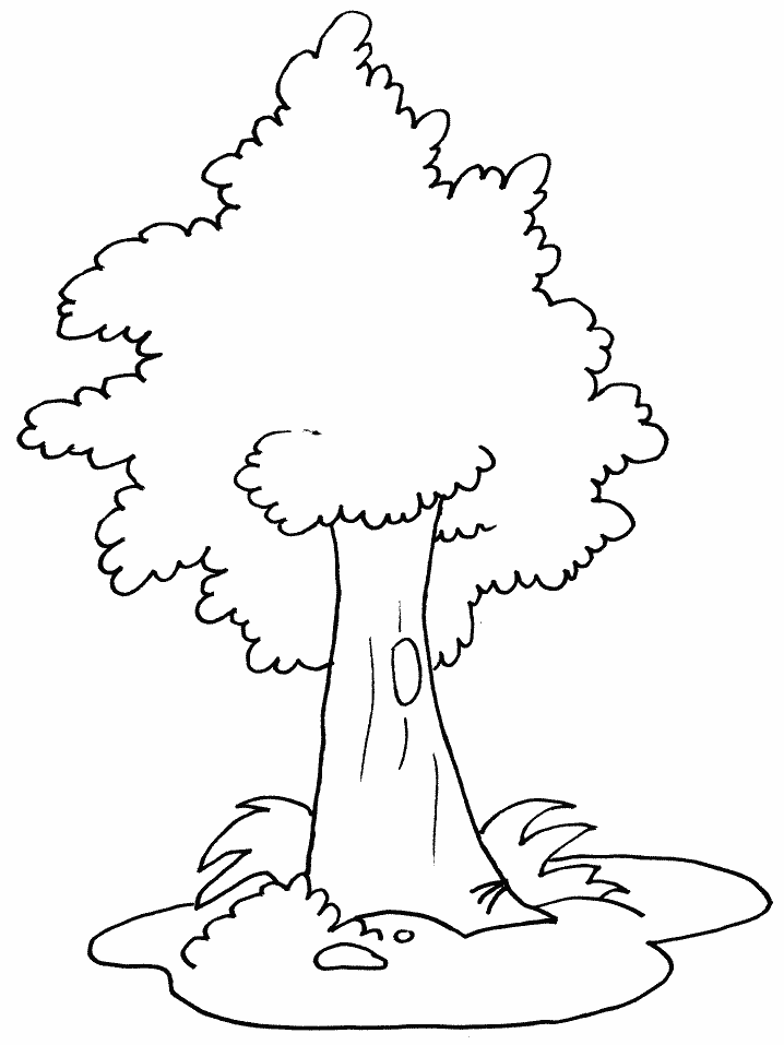 Coloring Page Tree