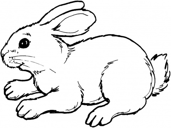 Coloring Pages For Kids Rabbit Animal1bb1 Coloring Page