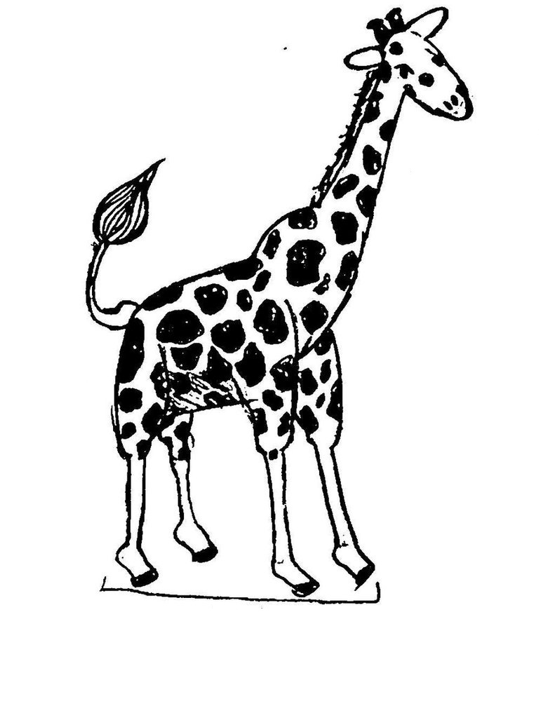 Coloring Pages Giraffe Coloring Page