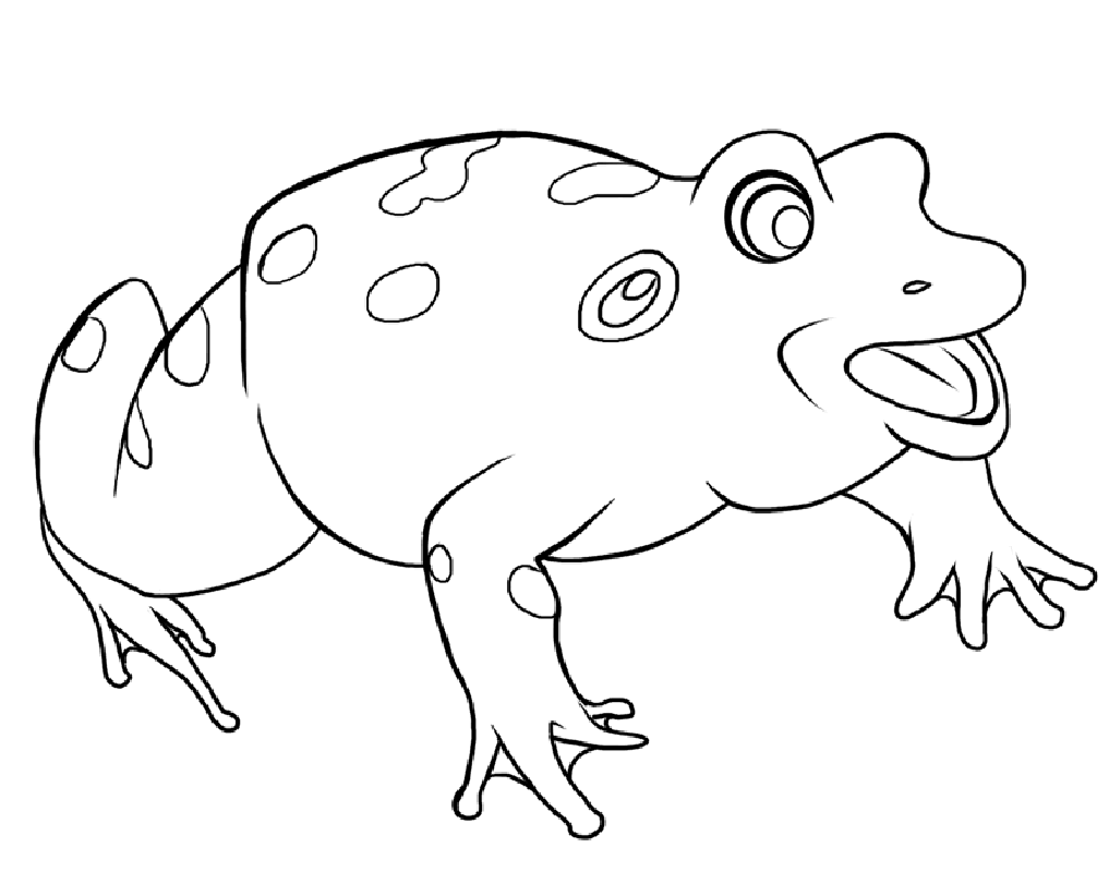 Coloring Pages of a Frog