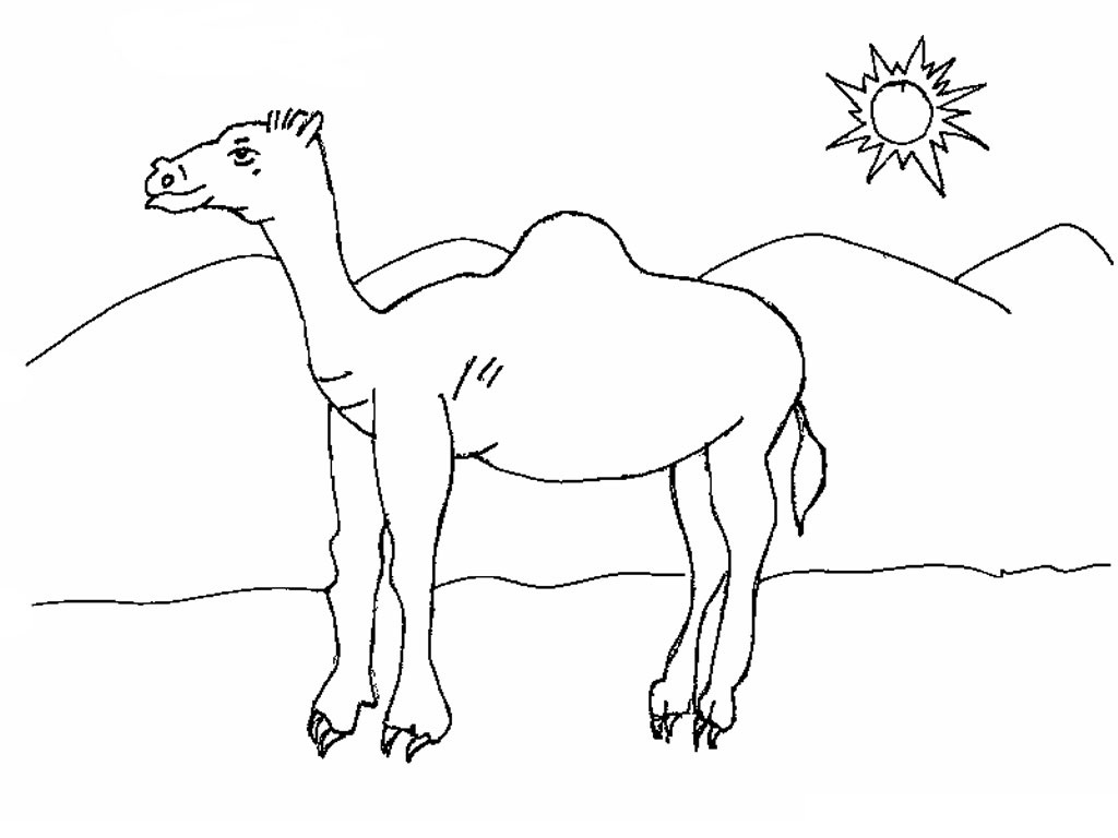 Coloring Pages of Camel Coloring Page