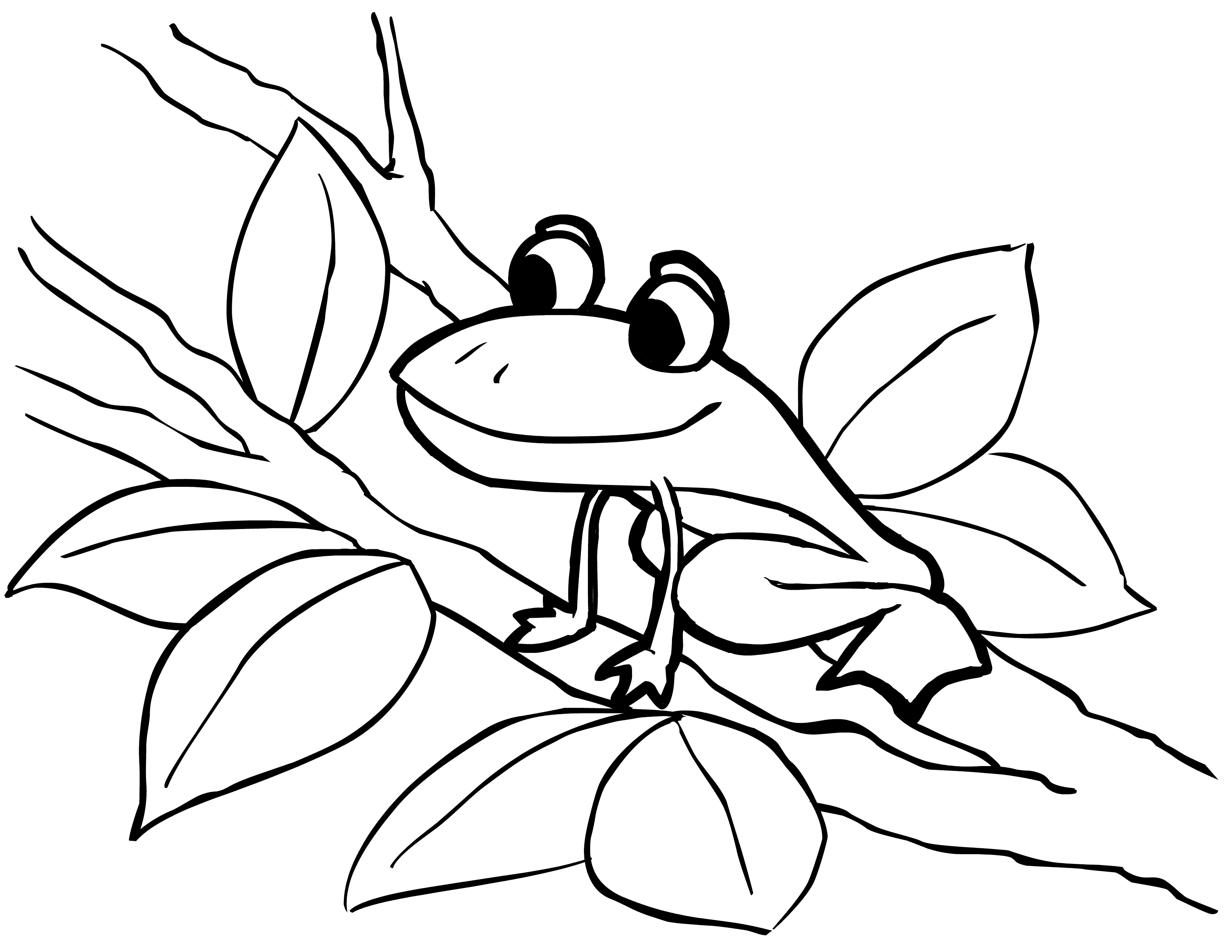 Coloring Pages of Frogs