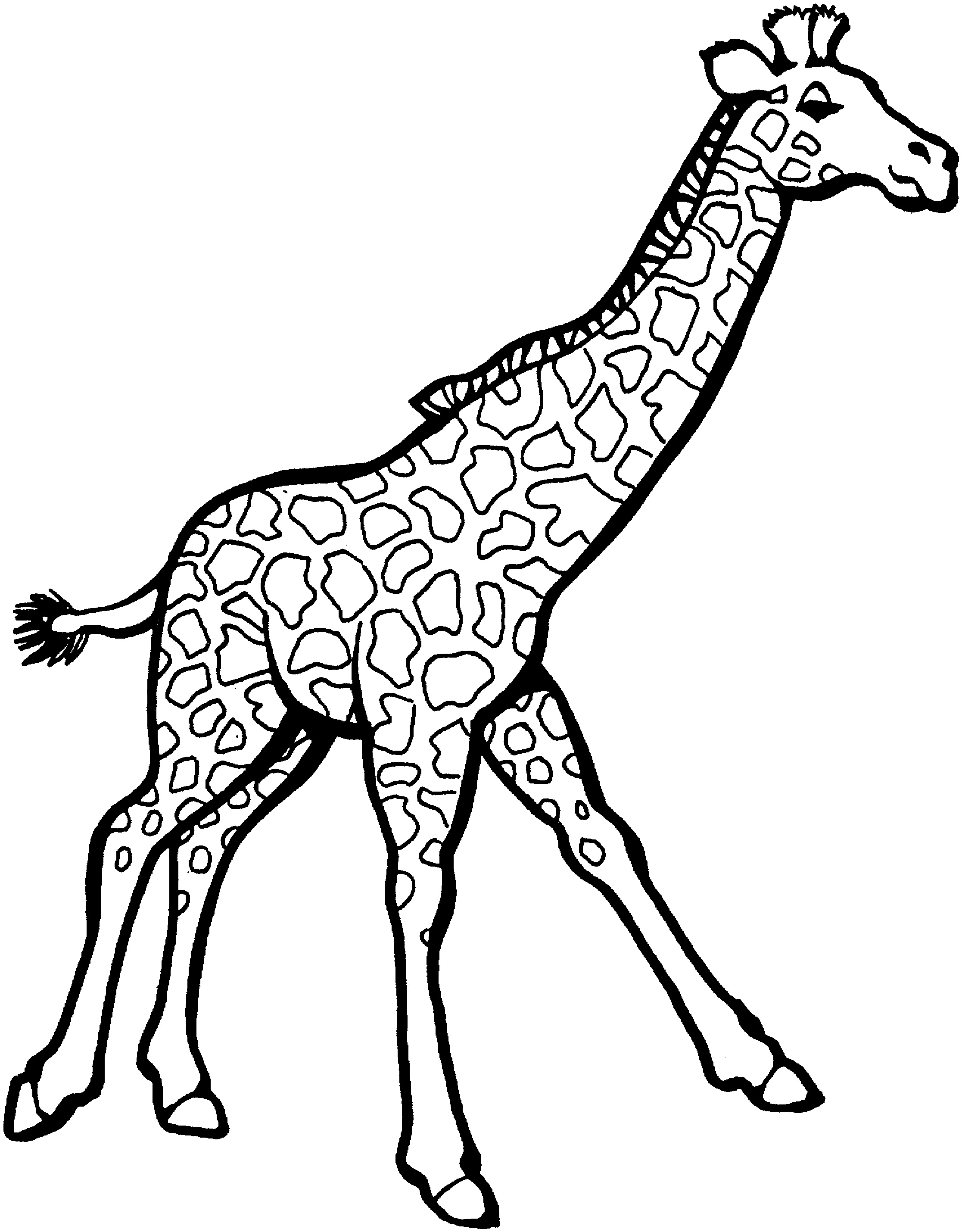 Coloring Pages of Giraffe Coloring Page