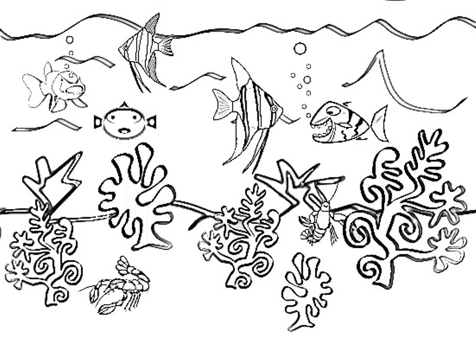 Coloring Pages Of Sea Animals Free54a4 Coloring Page