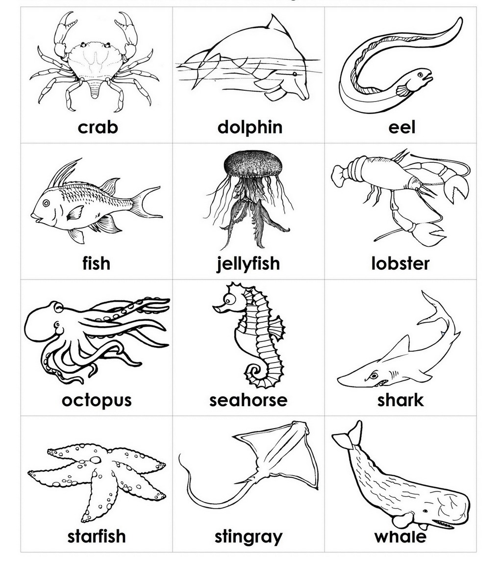 Coloring Pages Of Sea Animals Preschool2b83 Coloring Page