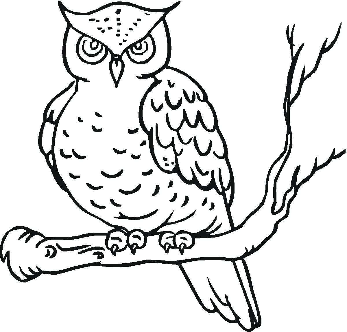 Coloring Pages Owl