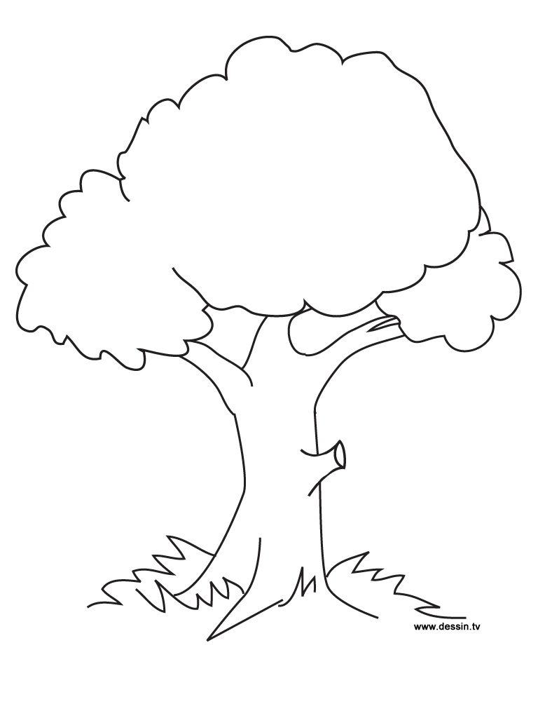 Coloring Pages Trees