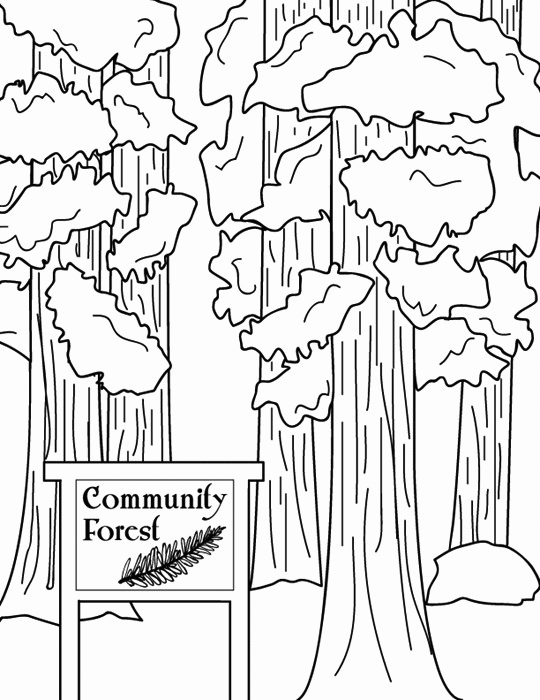 Community Forest