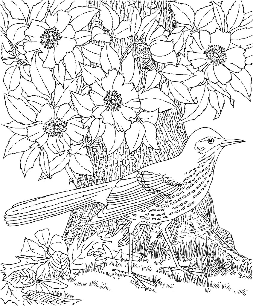 Cool Colouring For Adult 21 Coloring Pages   Coloring Cool